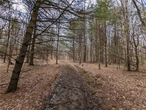 00 Snowball Hollow Rd, Scio, NY 14880