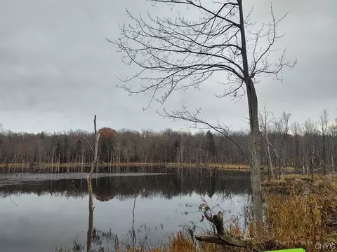 0 Us Hwy 11, Dekalb, NY 13630
