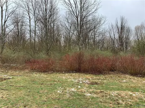 lot Apt 12 Louis Ridge Rd, Schuyler, NY 13340