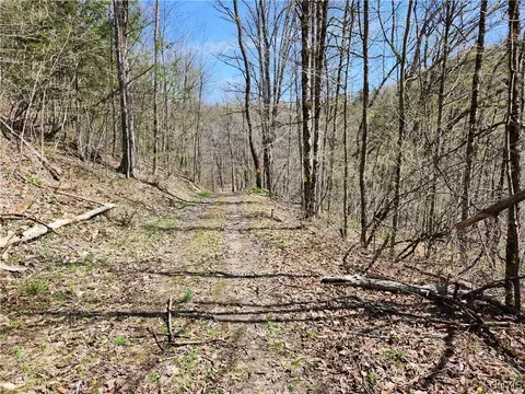 00 Bowie Rd, Schuyler, NY 13340