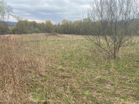 00 Blouvet Rd, Friendship, NY 14739