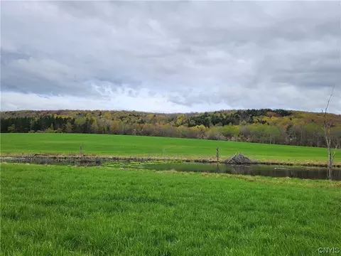 2248 County Rd 16 Rd, Otselic, NY 13832