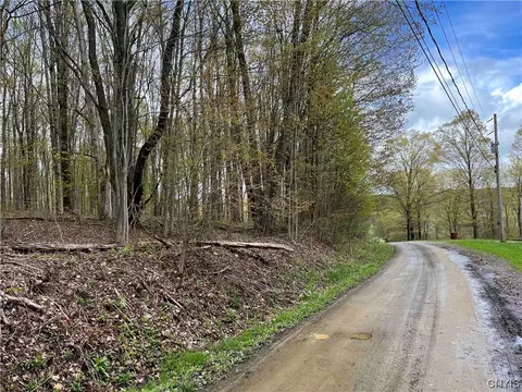 00 Shady Ln, Franklinville, NY 14737