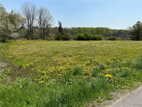 3042 Amber Rd, Onondaga, NY 13110