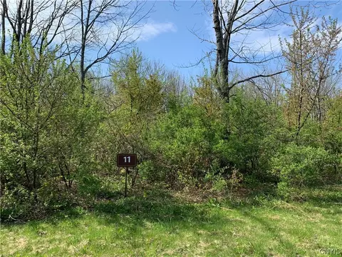 lot Apt 11 Louis Ridge Rd, Schuyler, NY 13340