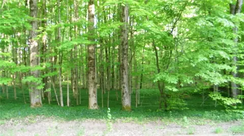 0 Dixon Rd, Vienna, NY 13316