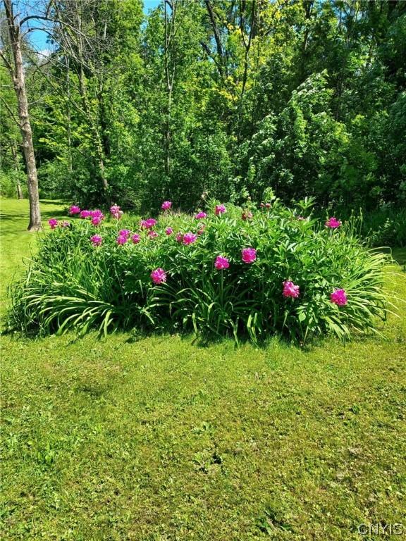  7474 Haney Rd, Van Buren, NY 13027 photo 46