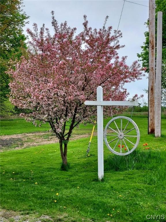  7474 Haney Rd, Van Buren, NY 13027 photo 47