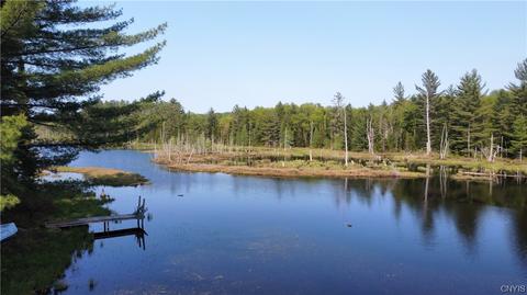 8440 Stony Lake Rd, Watson, NY 13343