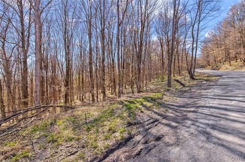 0 Moon Hill Rd, Spafford, NY 13152
