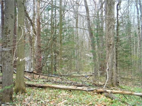 00 Nys Route 12 E, Trenton, NY 13304