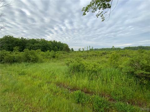 lot16 Hart Rd, Clayton, NY 13624