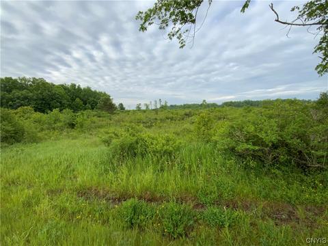 lot4 Hart Rd, Clayton, NY 13624