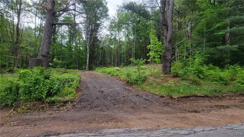 00 Baldwin Rd, Watson, NY 13343