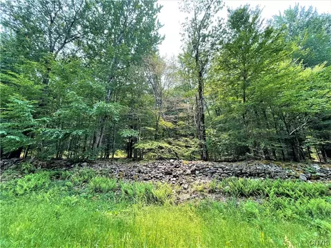 0 Dutcherville Rd, Constantia, NY 13044