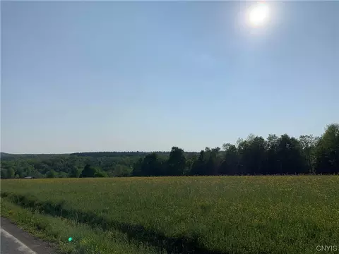 00 Balsam-tyler Rd, Pharsalia, NY 13801