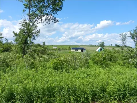 2107 Fords Bush Rd, Danube, NY 13365