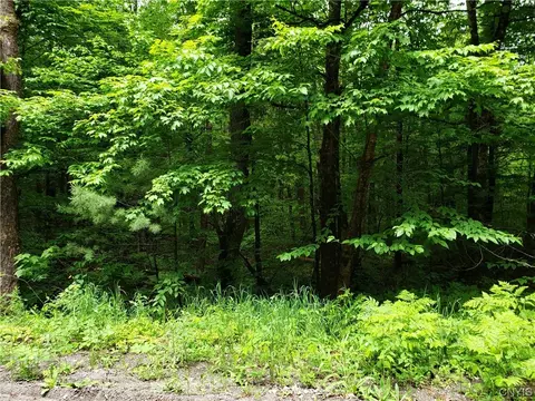 000 Partridgeville Rd, Greig, NY 13345
