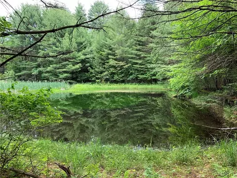 0 Ukrainian Rd, Salisbury, NY 13454