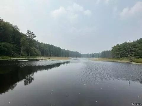 301 Edwards Hill Rd, Lisle, NY 13760