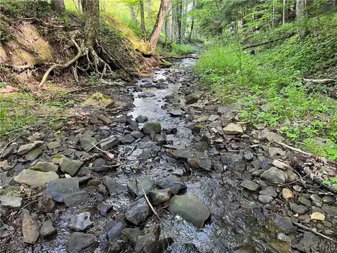 00 Kansas Hollow Rd, Bolivar, NY 14715