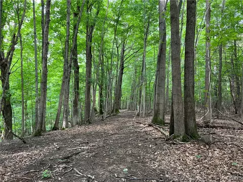 lot A Sweet Rd, Manlius, NY 13104