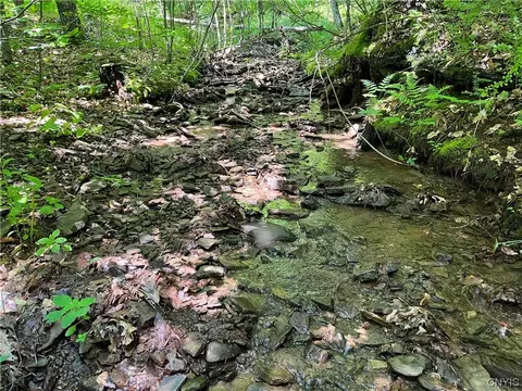 00 Gleason Hollow Rd, Portville, NY 14770