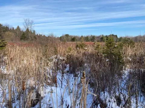 00 Number One Rd, Birdsall, NY 14454
