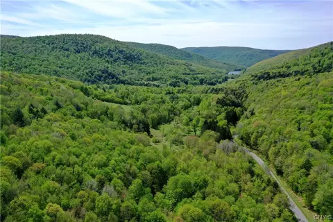 00 Finch Hollow Rd, Tompkins, NY 13856