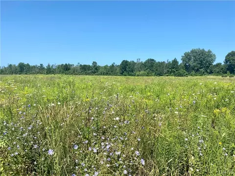 0 County Route 8, Cape Vincent, NY 13618