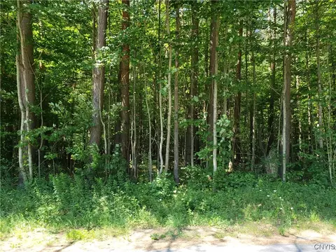 000 Number Four Rd, Watson, NY 13367