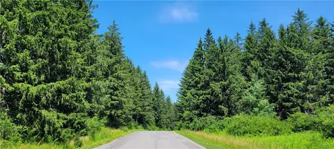 lot4 Canyonwood Ln, Pompey, NY 13078