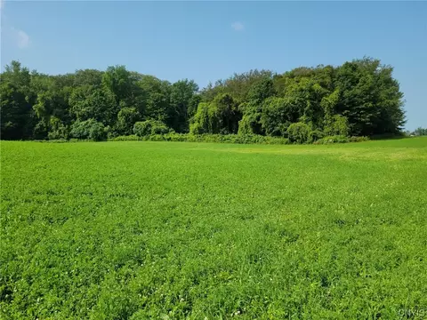lot S 3 4 Fabius Rd County Rt 80 Rd, Cazenovia, NY 13122