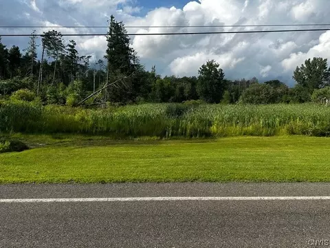 0 Cold Brook Rd, Spafford, NY 13077