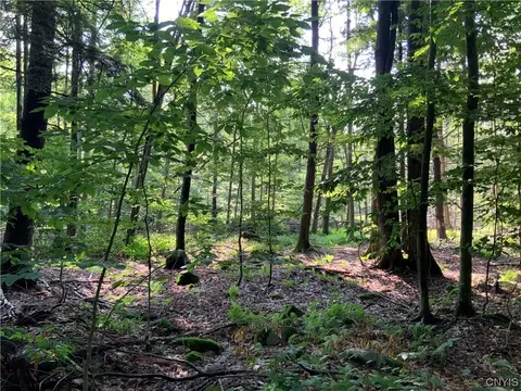 25 Lincoln Mountain Rd, Greenfield, NY 12833