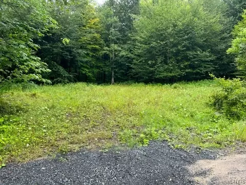 01 Donavan Rd, Salisbury, NY 13454