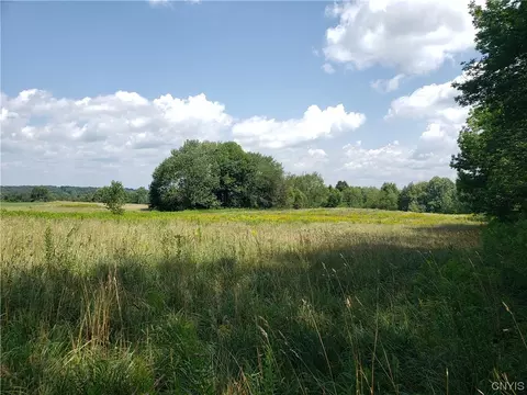 000 Webster Hill Rd, Ava, NY 13303