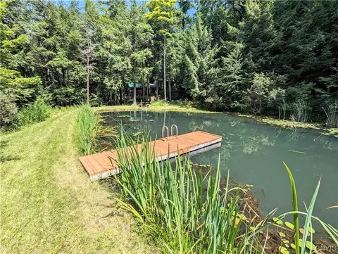 1885 Keifer Hollow Rd, Dansville, NY 14437