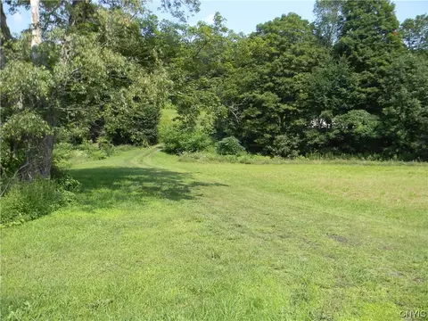 0 Cold Brook Rd, Homer, NY 13077