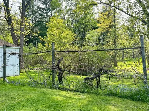 31 Upper Creek Rd, Ithaca, NY 14850 photo 46