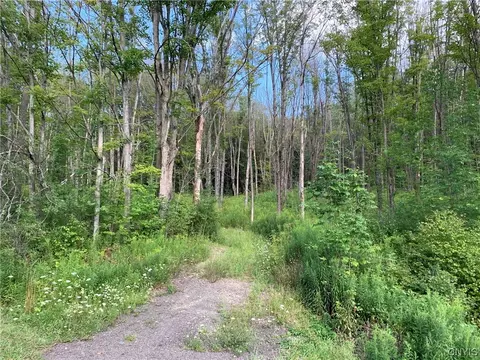 00 County Road 49, Rushford, NY 14777