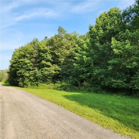 0 Louis Ridge Rd, Schuyler, NY 13340
