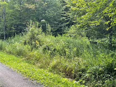 0 Lazy Paradise Rd, Worth, NY 13437