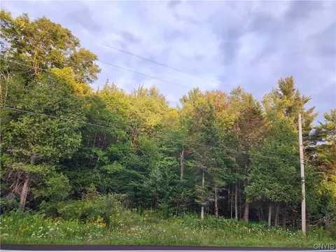 0 State Route 812, Diana, NY 13648