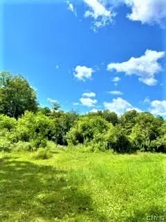 01 Overswamp Rd, Oppenheim, NY 13452