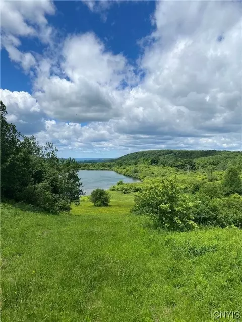 0 Steuben Hill Steuben Rd, Herkimer, NY 13350
