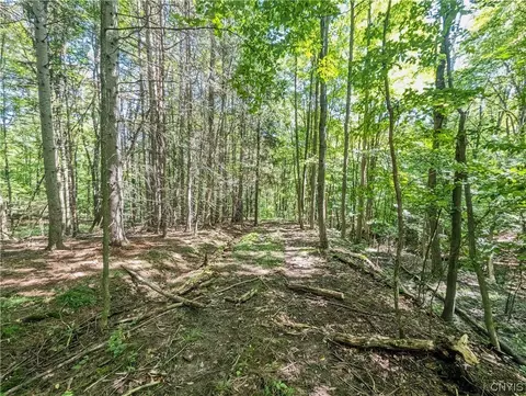 00 Travis Hill Rd, Canisteo, NY 14819