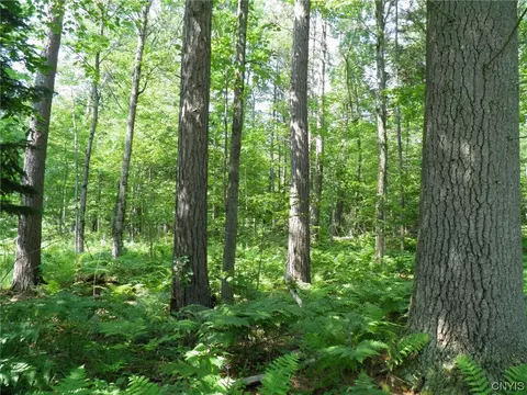 0 Silver Lake Rd, Black Brook Twp, NY 12997