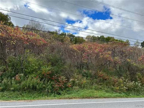 lot1 Apulia Rd, Lafayette, NY 13084
