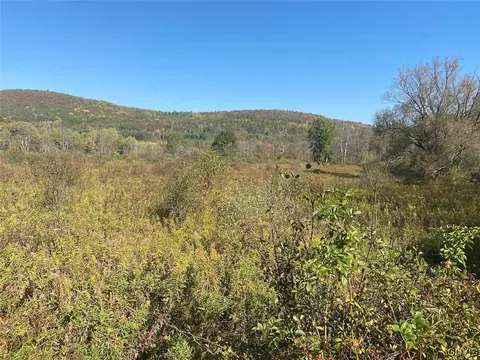 00 W Cuba Rd, Cuba, NY 14727
